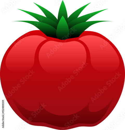 Tomato