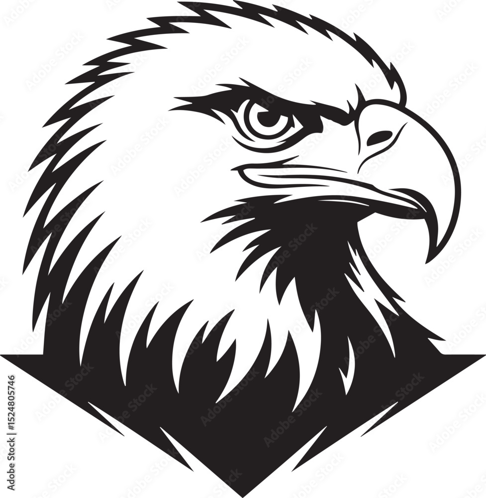 Fototapeta premium Eagle Head Illustration