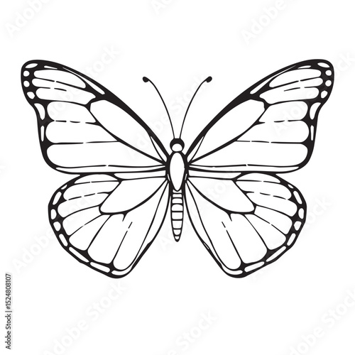 Black and white line art monarch butterfly illustration