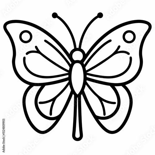 butterfly vector illustration