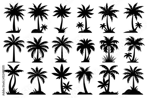 Tropical palm tree silhouette collection isolated on transparent background