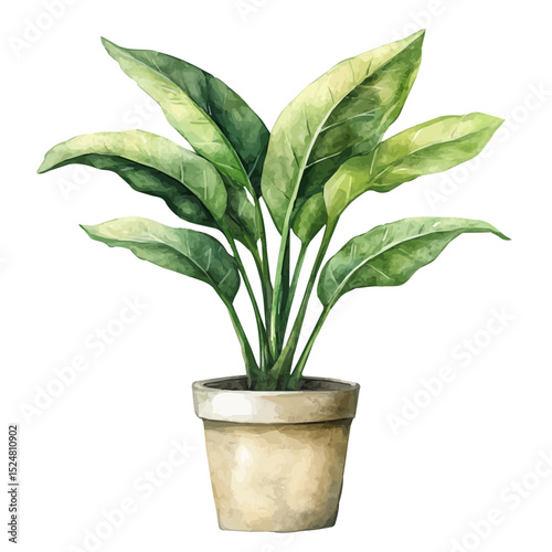 watercolor vector of Indoor Plant, high quality, isolated on a white background.