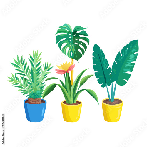A delightful trio of potted indoor plants, including a palm, monstera, and banana leaf plant, bringing vibrant greenery to any space