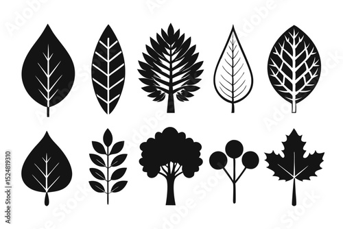 Collection of treetop leaf icons isolated on transparent background