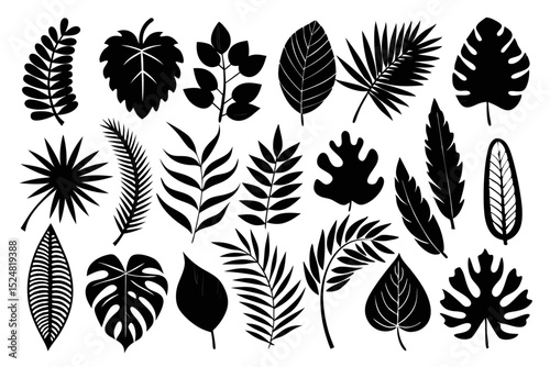 Tropical leaf silhouette collection isolated on transparent background