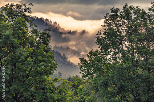 Clouds in a mountain ravine at sunrise