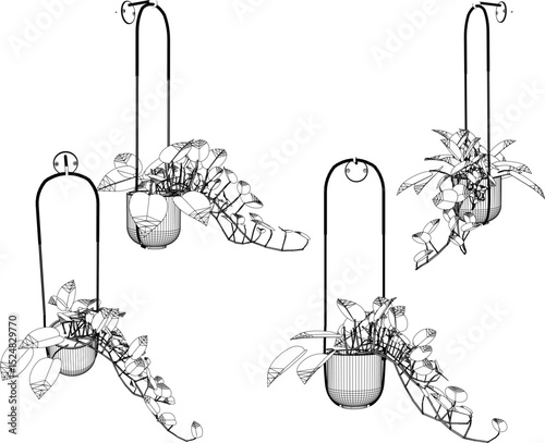 Vector illustration of hanging plant design for home terrace interior decoration with creeping leaves