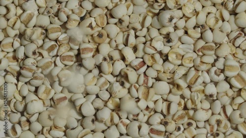 close up of a pile of white beans