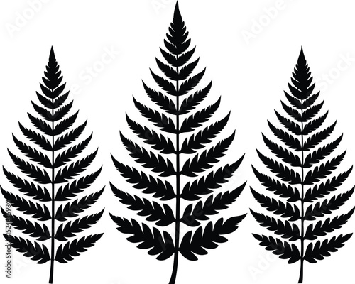 Fern leaves silhouettes vector, Leaf fern silhouettes vector illustration
