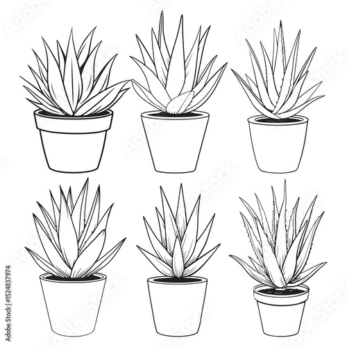 Aloe Vera Plant Line Art Vector, Vector Aloe Vera Plant in Pot Clean Outline Illustration for Design Use.