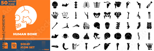 Human Bone Solid Editable Icons set. Vector illustration in modern thin solid style of human bone icons: joint, orthopedic, skeleton, etc
