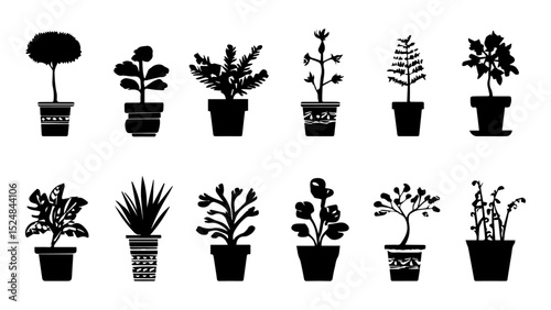 set of trees