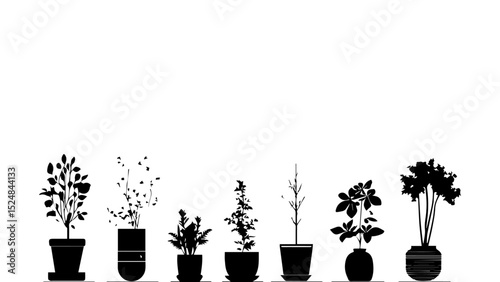 plant in vase