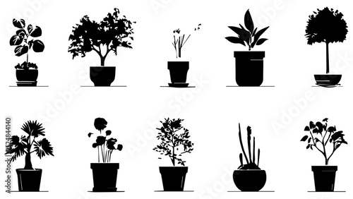 plants in pots icon vector 