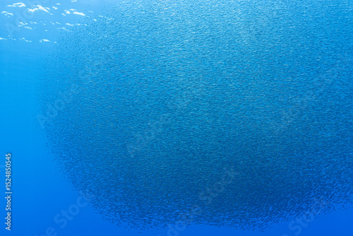 Lanternfish aggregation in the twilight zone