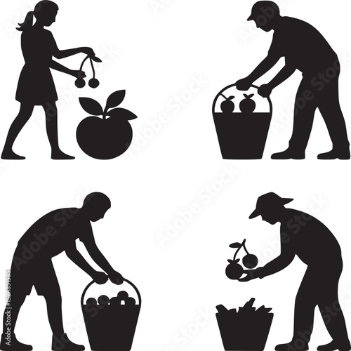 Silhouettes of people harvesting fruits like apples and cherries into buckets on a white background