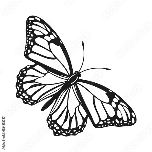 silhouette butterfly clipart on white background