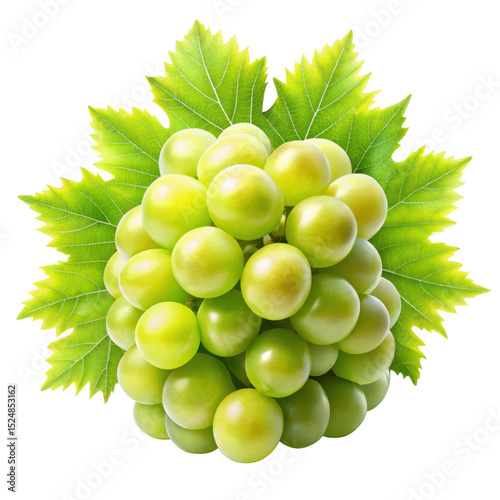 bunch of green grapes