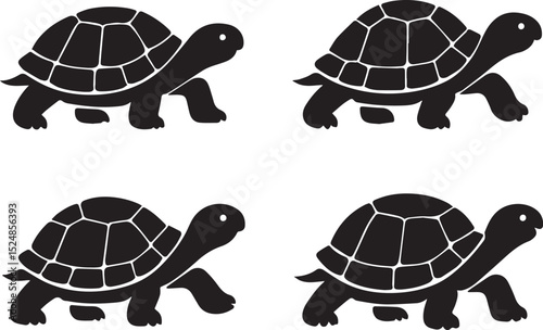 Turtle walking set isolated vector illustration