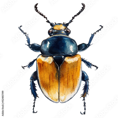 Goliath Beetle, watercolor illustration vector, high quality, isolated on a white background.