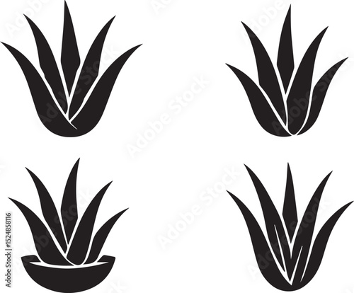 Aloe vera plant set isolated vector illustration