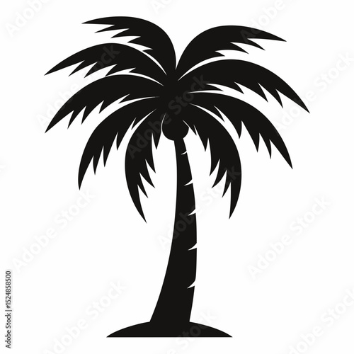 silhouette of palm trees