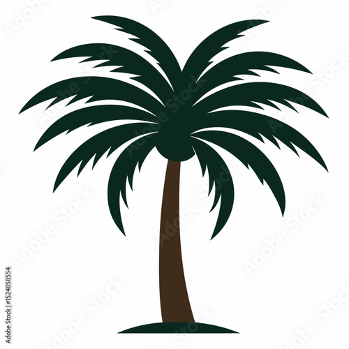 palm tree silhouette