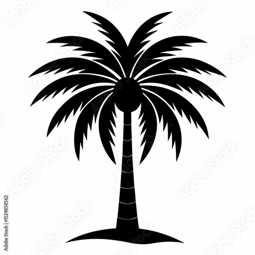 silhouette of palm tree