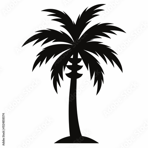 silhouette of palm tree