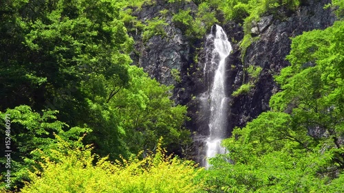 初夏の日本をイメージする新緑と滝の映像