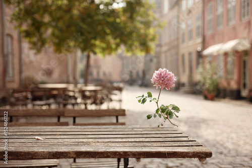 charming europeanstyle street cafe with simple wooden bench and single flower as focal point photo