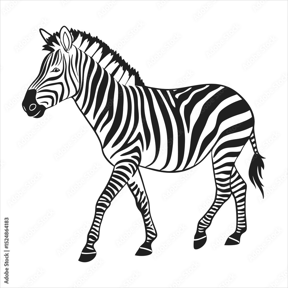 Fototapeta premium silhouette zebra on white background