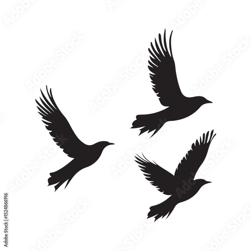 A beautiful vector illustration of three birds flying together, symbolizing freedom, unity, and nature. This artwork is perfect for use in designs related to wildlife, travel, peace, and natural theme