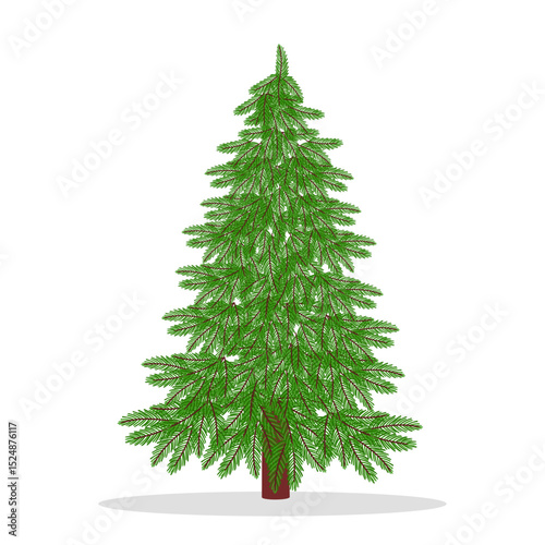Christmas tree on a white background