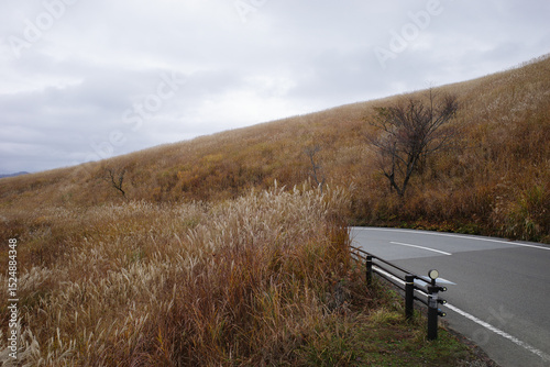 A road cutting through a vast, grassy hillside under an overcast sky. The grass on the hill has a dry, golden-brown hue, suggesting either autumn or a dry season. 