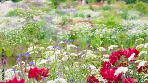 様々な草や花が咲き乱れる庭園（神奈川県綾瀬市 光綾公園「あやせローズガーデン」）　
Gardens filled with a variety of grasses and flowers
(Ayase Rose Garden, Kouya Park, Ayase City, Kanagawa Prefecture)