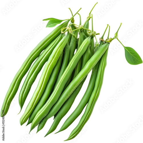 fresh green beans