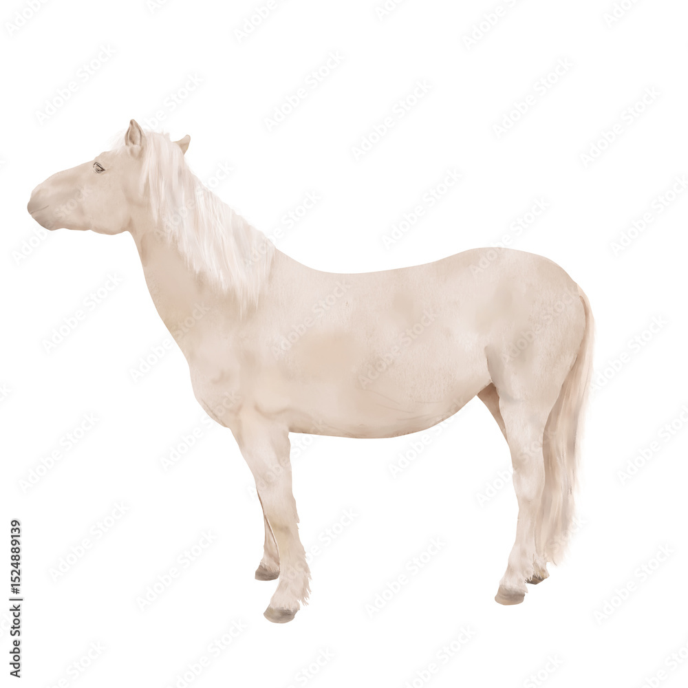 Obraz premium The horse is light beige in color, with a white mane and a long tail. Watercolor illustration. A standing horse, isolated on a white background. The theme of horse breeding, postcards, textiles