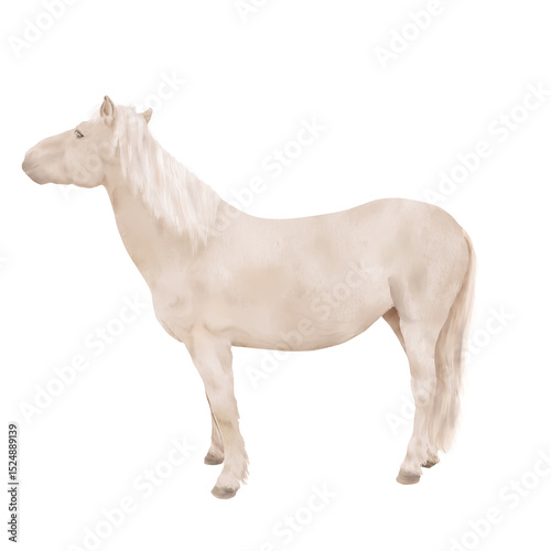 The horse is light beige in color, with a white mane and a long tail. Watercolor illustration. A standing horse, isolated on a white background. The theme of horse breeding, postcards, textiles