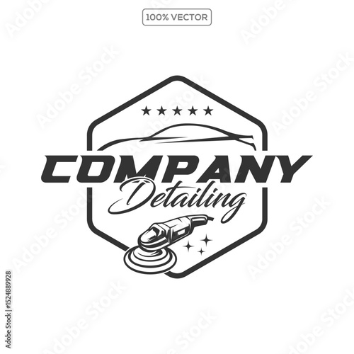 auto polish detailing logo design template vector stock