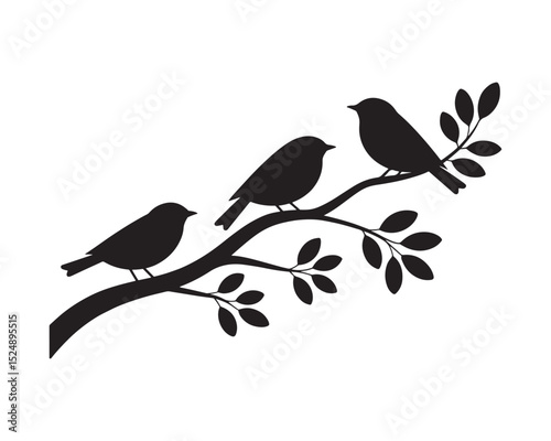 Three silhouettes of birds on a branch