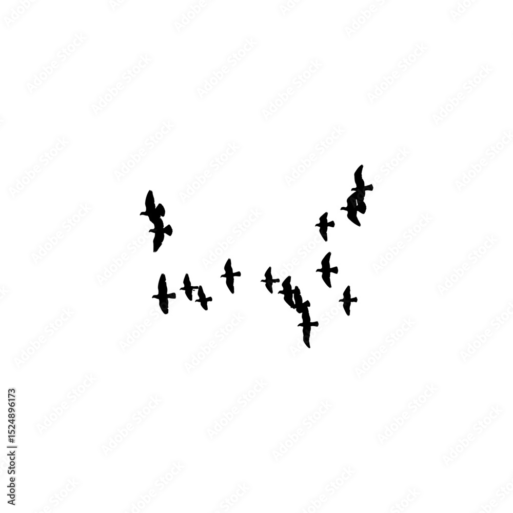Obraz premium birds in flight