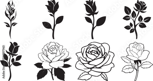 Stages of Rose Bloom Illustrated in Silhouettes and Line Art