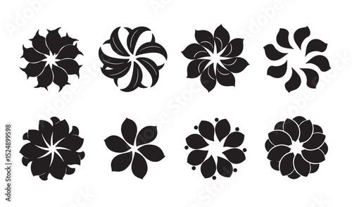 A collection of elegant black and white silhouette floral designs and decorative elements for creative use