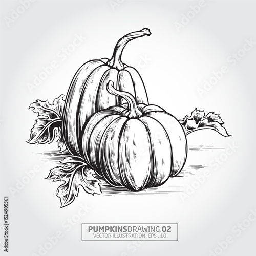 Pumpkins Organic vegetables and fruits cartoon concept. This Drawing Vector illustration of isolated on white background with separated layers. 