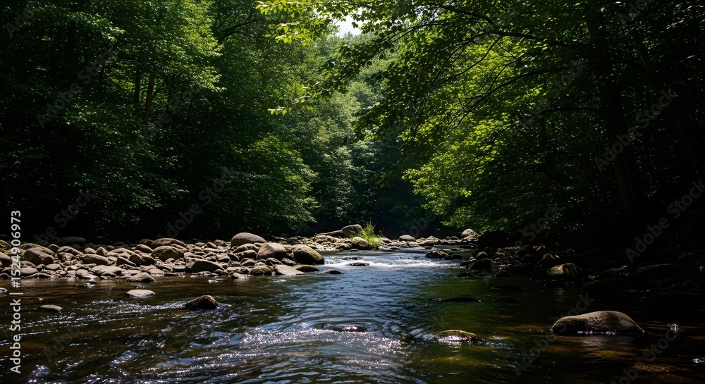 Fototapeta premium River Flowing Through a Forest