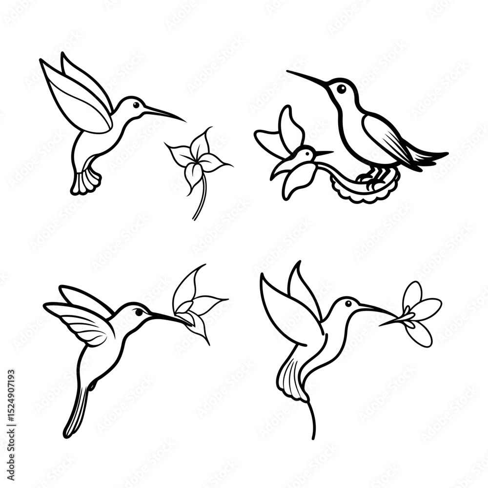 Obraz premium Elegant Hummingbird Illustrations Four Line Art Designs of Hummingbirds and Flowers