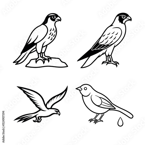 Wallpaper Mural Elegant Line Art Illustrations of Birds Falcon, Hawk, and Bird in Flight Torontodigital.ca