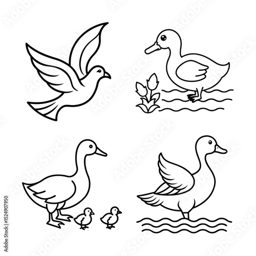 Adorable Line Art Illustrations of Ducks and a Dove Perfect for Coloring Pages, Prints, and More