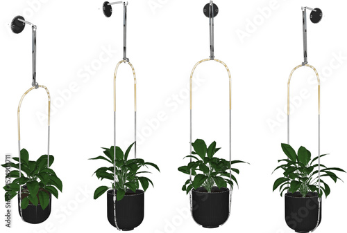 Vector illustration of hanging plant design for home terrace interior decoration with creeping leaves 